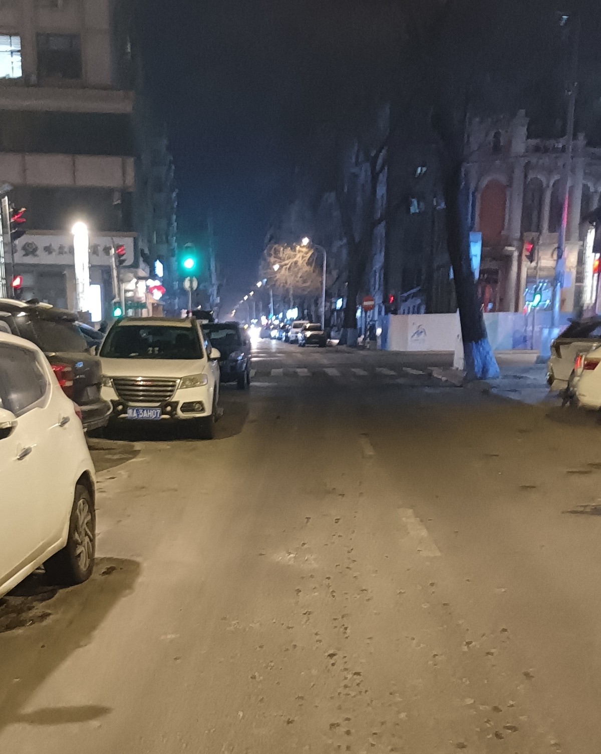 哈尔滨夜探比乐街，巴陵街，黑山街，安子片失望之旅